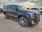 2015 Cadillac Escalade Premium   за продажба в Amarillo, TX - Hail