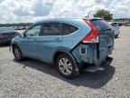 2014 Honda Cr-V Exl   en Venta en Riverview, FL - Rear End