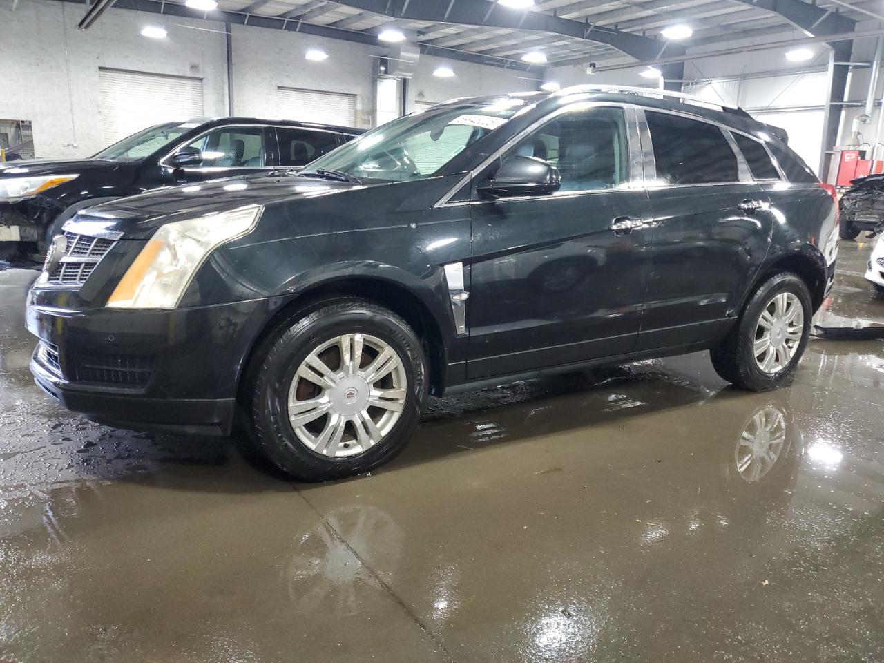 2011 Cadillac Srx Luxury Collection for Sale in Ham Lake, MN - Rear End