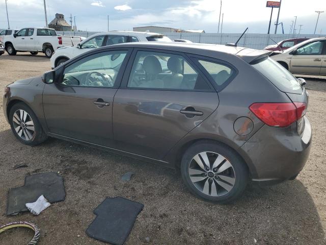 KIA FORTE 2013 Brown