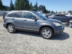 2010 Honda Cr-V Exl for Sale in Graham, WA - Side