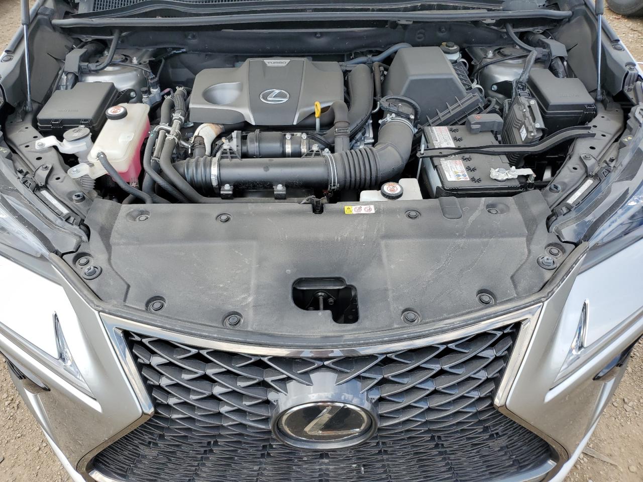 2021 Lexus Nx 300 Base VIN: JTJSARDZ9M2255627 Lot: 61863555