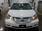 2009 Honda Odyssey Exl на продаже в Ham Lake, MN - Top/Roof