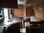 2008 Kutb Tone Couga en Venta en Avon, MN - Top/Roof