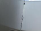 2025 Other                       Trailer en Venta en Greenwell Springs, LA - Minor Dent/Scratches