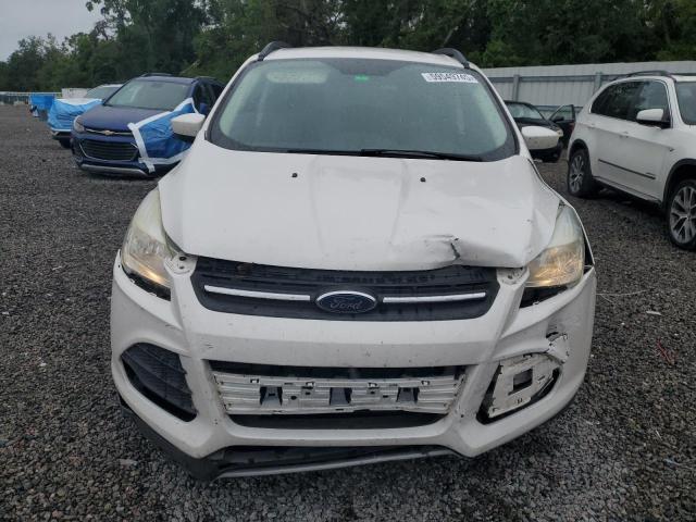  FORD ESCAPE 2016 Белы