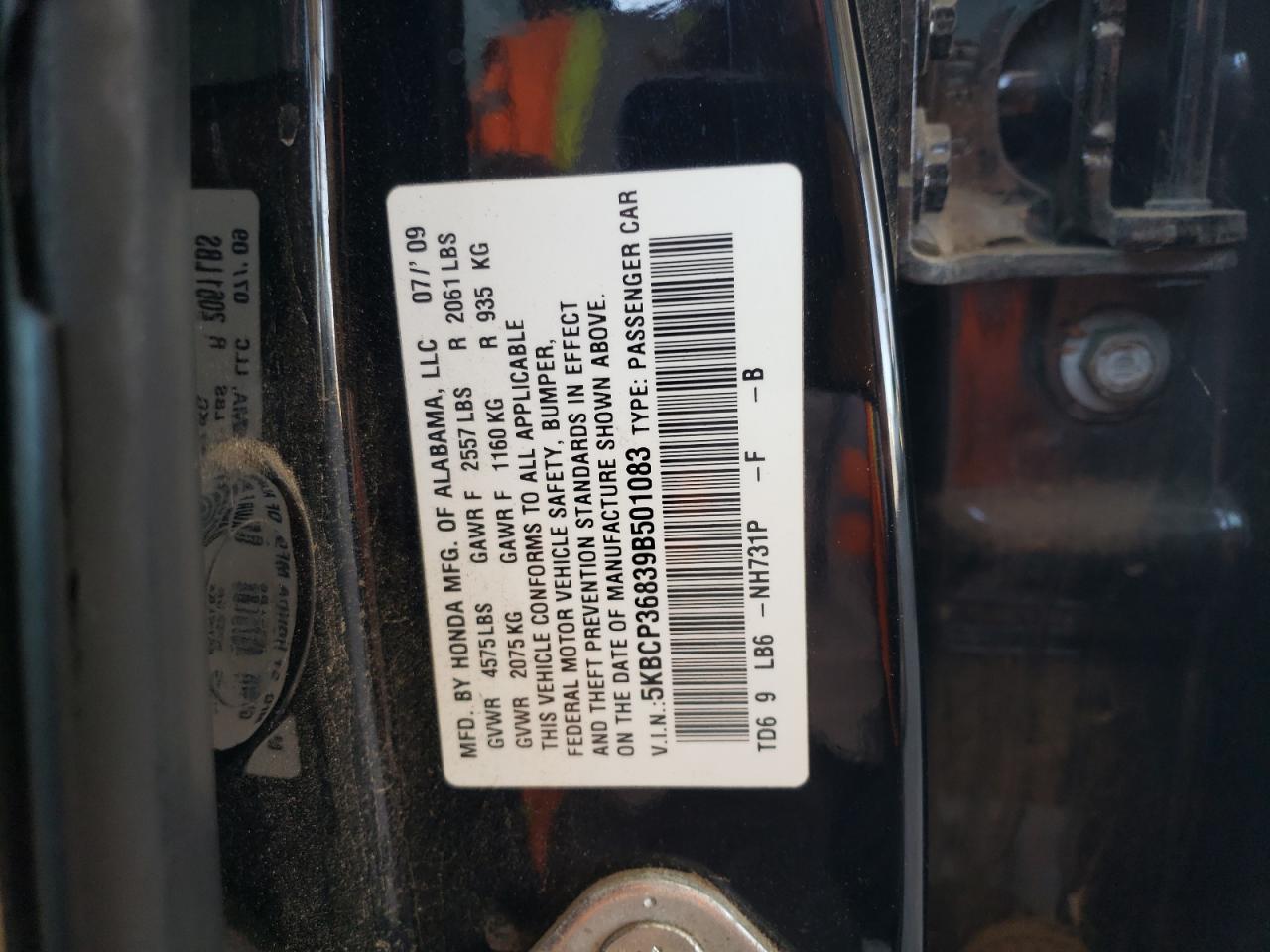 2009 Honda Accord Exl VIN: 5KBCP36839B501083 Lot: 62807965