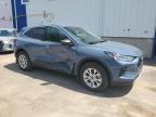 2024 FORD ESCAPE ACTIVE   à vendre chez Copart NB - MONCTON