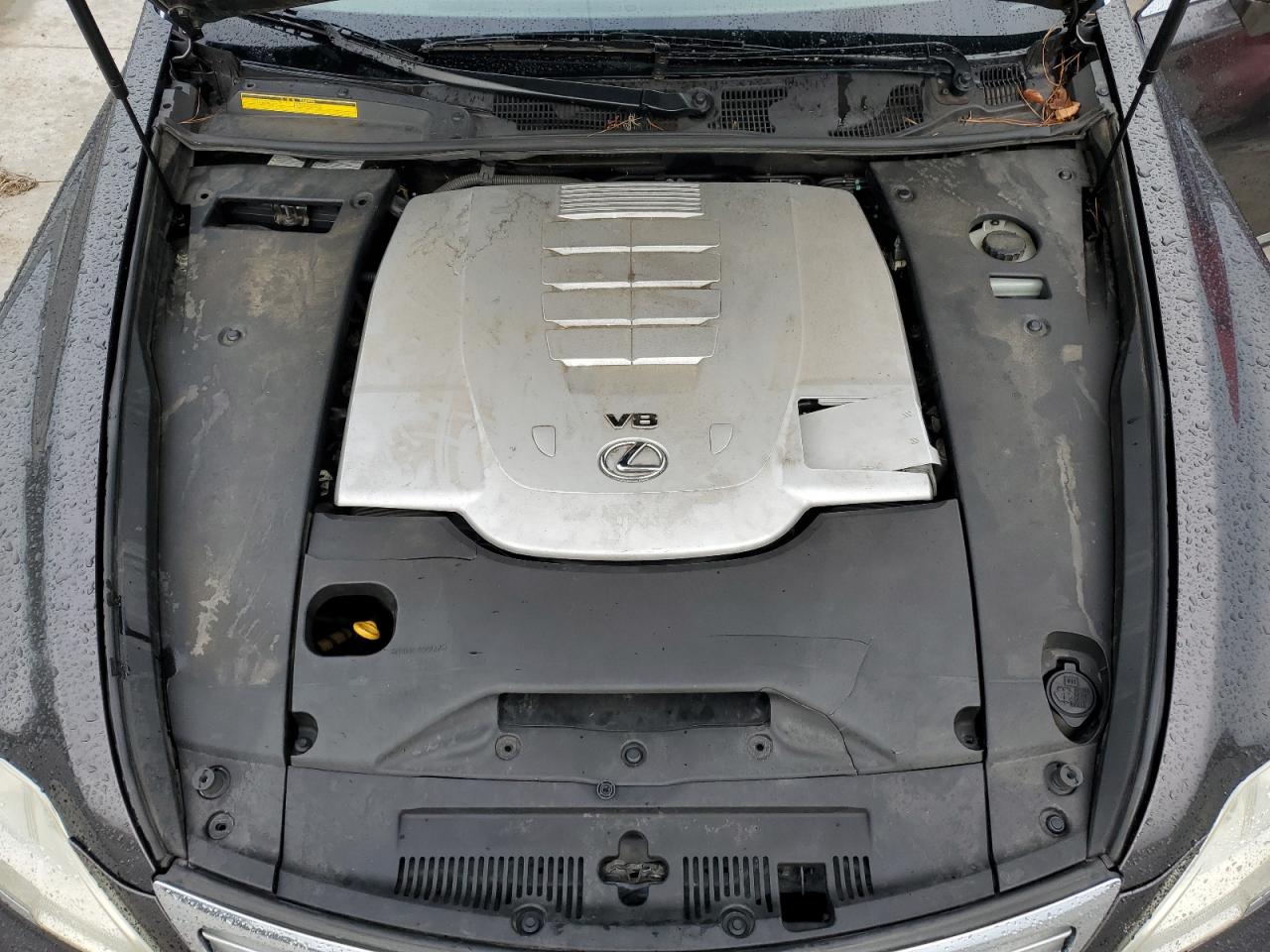 2009 Lexus Ls 460 VIN: JTHBL46F295085747 Lot: 61560035