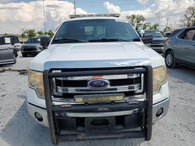 Пикапы FORD F-150 2014 Белы