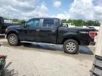 2013 Ford F150 Supercrew   for Sale in Louisville, KY - Hail
