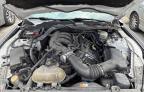 2016 Ford Mustang  for Sale in Kansas City, KS - Rear End