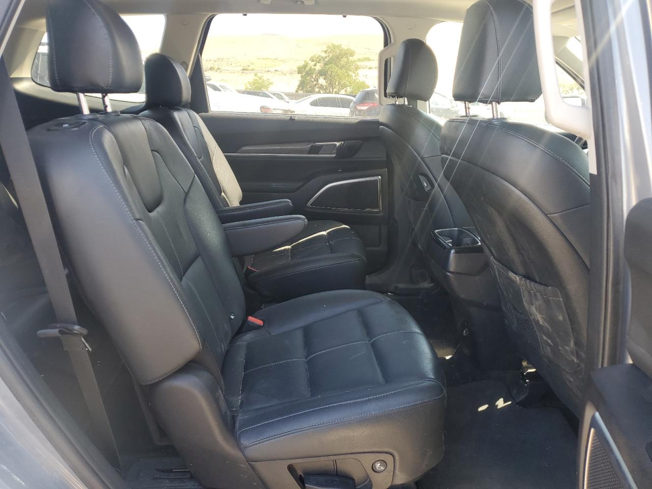 2020 Kia Telluride Sx VIN: 5XYP5DHC2LG061953 Lot: 62049085