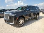 2024 Cadillac Escalade Premium Luxury Platinum for Sale in San Antonio, TX - Front End