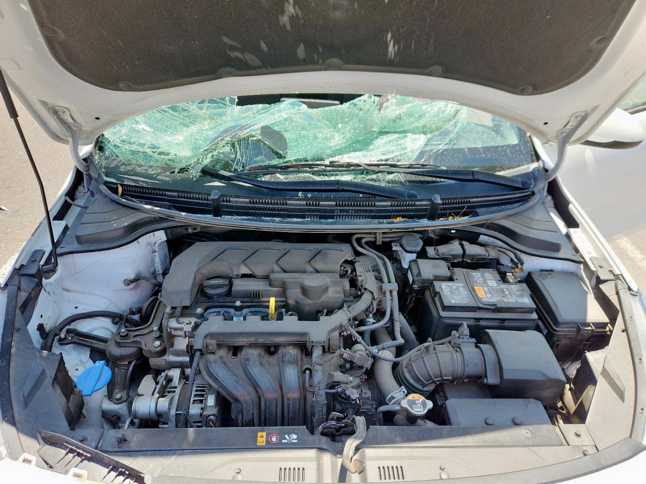 2023 Kia Rio Lx VIN: 3KPA24AD3PE557977 Lot: 63103835