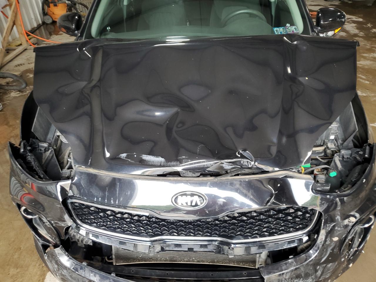 2017 Kia Sportage Lx VIN: KNDPMCAC0H7155647 Lot: 61228875
