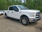 2015 FORD F150 SUPERCREW   for sale at Copart ON - COOKSTOWN