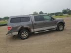 2010 Ford F150 Supercrew for Sale in Columbia Station, OH - Side