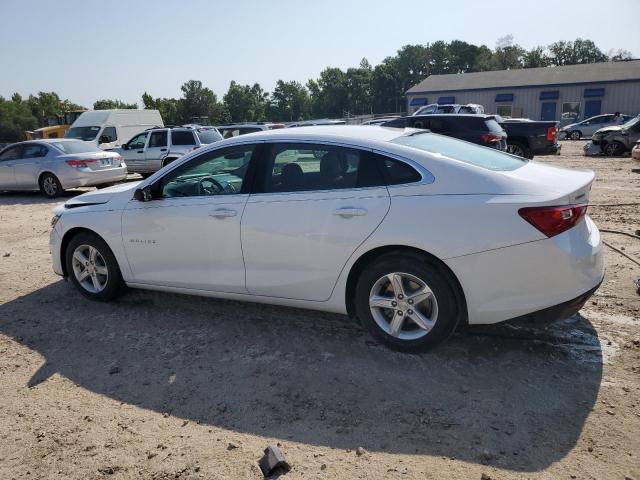  CHEVROLET MALIBU 2020 White