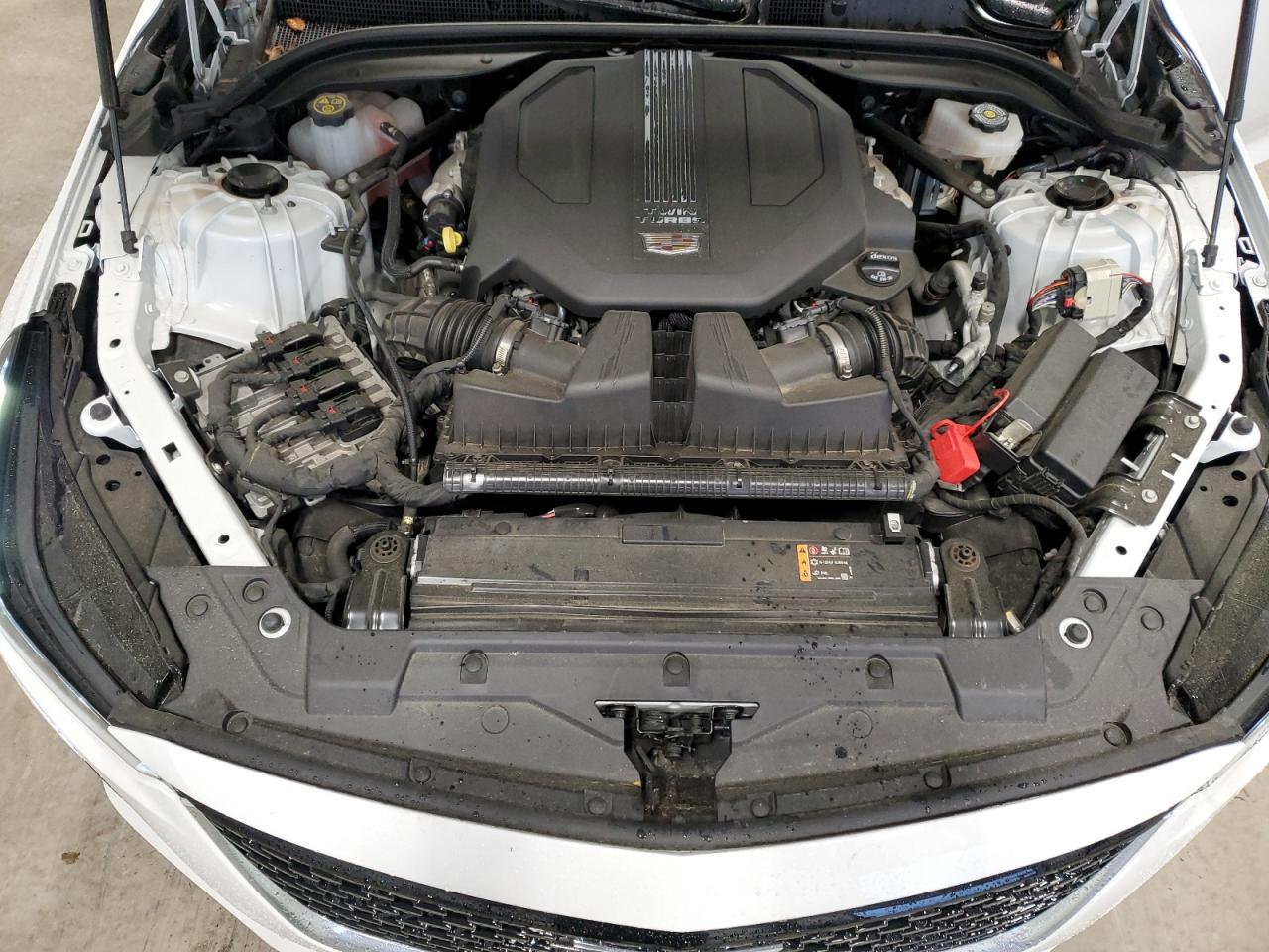 2023 Cadillac Ct5 Premium Luxury VIN: 1G6DN5RW0P0119882 Lot: 59394265
