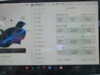 2020 Tesla Model Y  for Sale in Mcfarland, WI - Hail