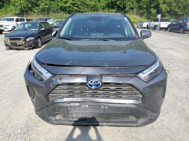  TOYOTA RAV4 2024 Gray