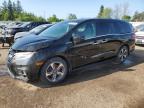 2020 HONDA ODYSSEY EX   for sale at Copart ON - TORONTO