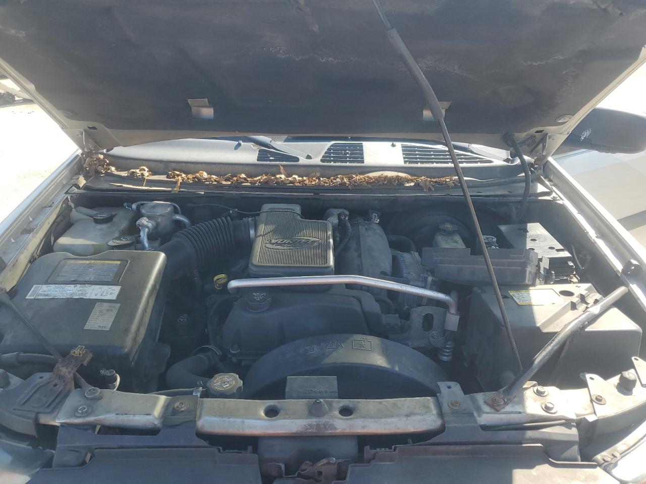 2005 Chevrolet Trailblazer Ext Ls VIN: 1GNET16SX56108195 Lot: 62215365