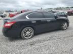 2009 Nissan Maxima S იყიდება Earlington-ში, KY - Rear End