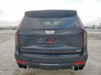 2024 CADILLAC ESCALADE V    for sale at Copart TX - DALLAS SOUTH