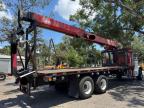 2003 Peterbilt 357  for Sale in Riverview, FL - Minor Dent/Scratches