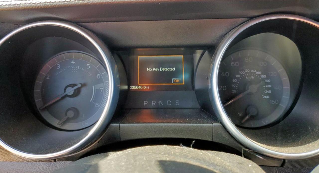 2022 Ford Mustang VIN: 1FA6P8TH8N5134034 Lot: 62865735