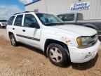 2004 Chevrolet Trailblazer Ls de vânzare în Mercedes, TX - Front End