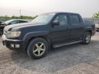 2009 Honda Ridgeline Rtl en Venta en Ottawa, ON - Minor Dent/Scratches