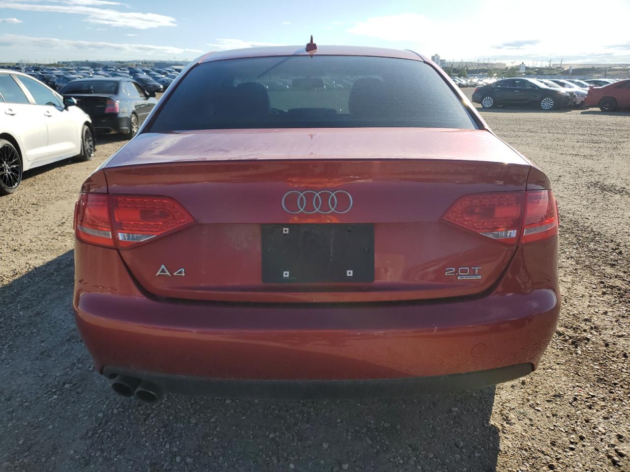 2010 Audi A4 Premium Plus VIN: WAUFFCFL8AN005282 Lot: 63061005