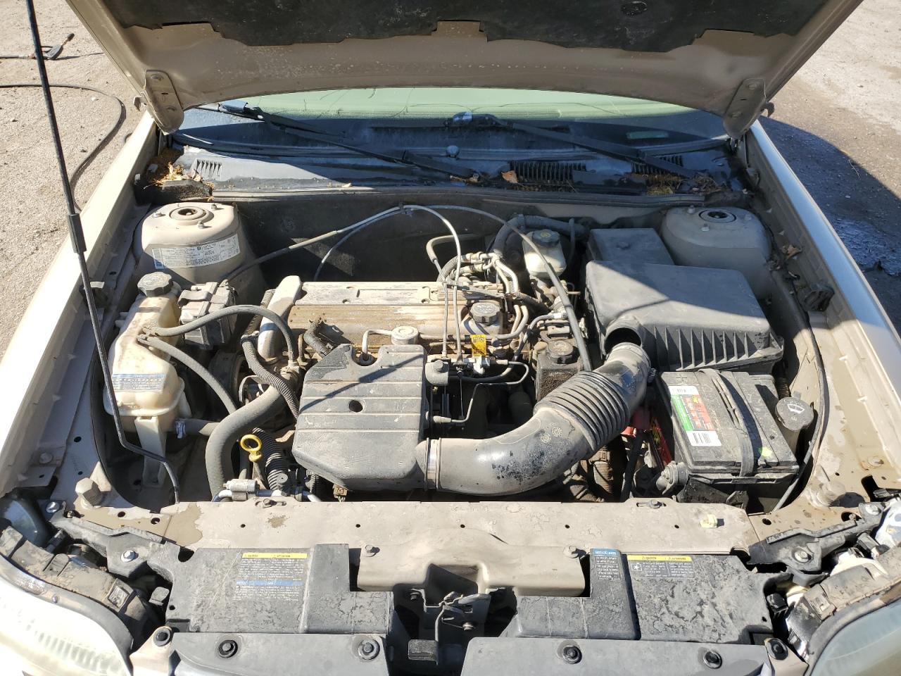 2005 Chevrolet Classic VIN: 1G1ND52F95M190821 Lot: 60728755