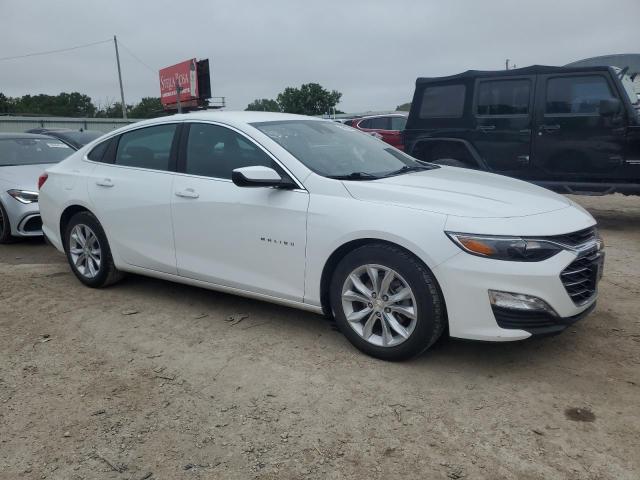  CHEVROLET MALIBU 2023 White