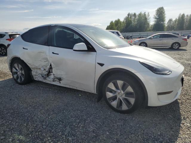  TESLA MODEL Y 2023 Biały