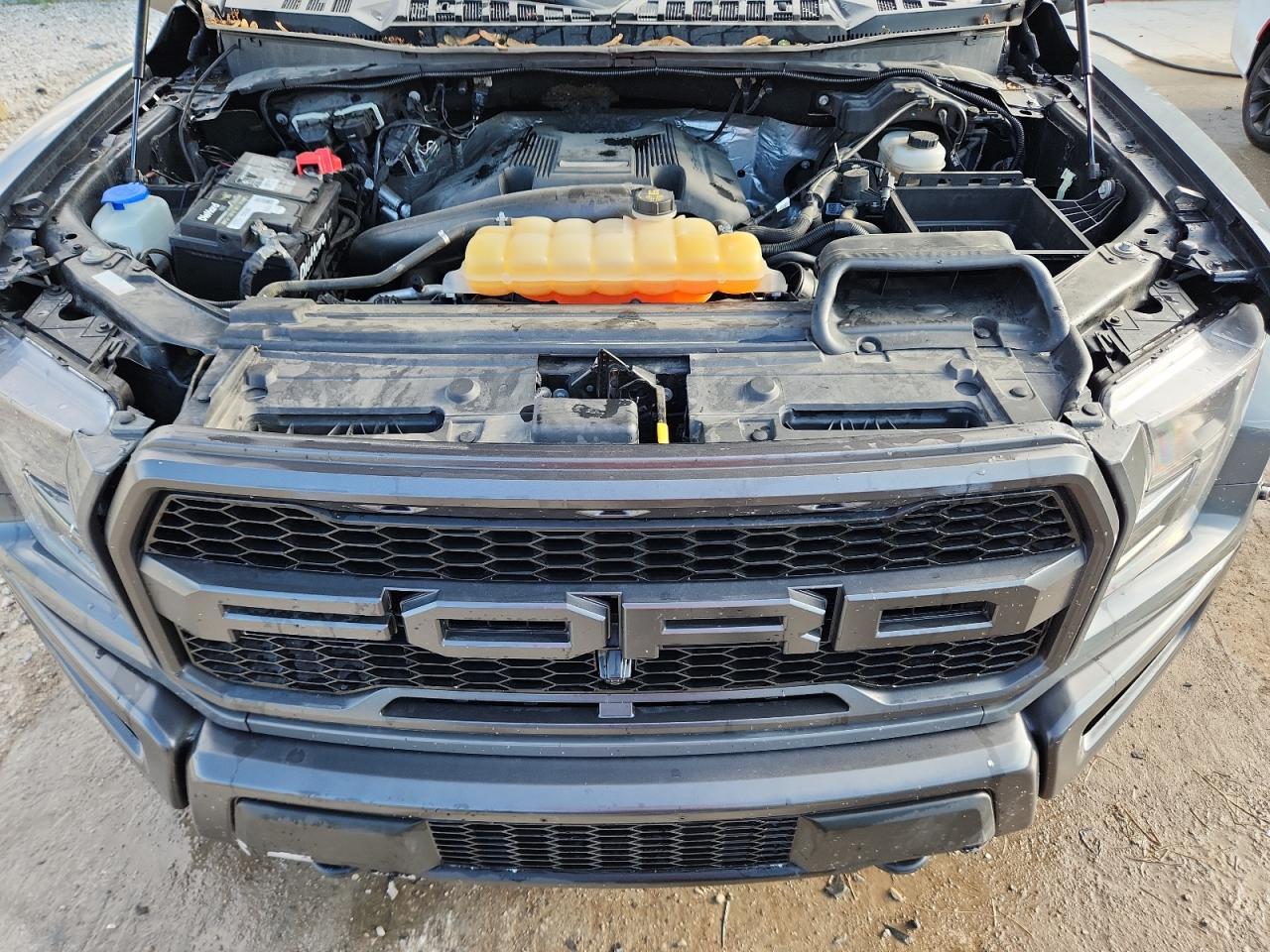 2018 Ford F150 Raptor VIN: 1FTFW1RG4JFB80404 Lot: 61367825