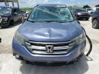 2013 Honda Cr-V Exl на продаже в West Palm Beach, FL - All Over