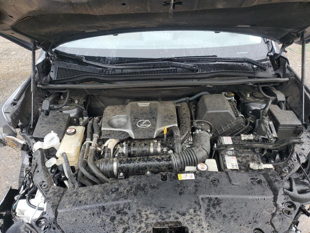 2020 Lexus Nx 300 VIN: JTJGARBZ3L2161489 Lot: 60449095