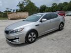 2013 Kia Optima Hybrid for Sale in Fort Pierce, FL - Normal Wear