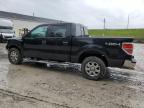 Northfield, OH에서 판매 중인 2014 Ford F150 Supercrew - Front End