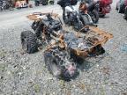 2020 Honda Trx520 Fm en Venta en Elmsdale, NS - Burn
