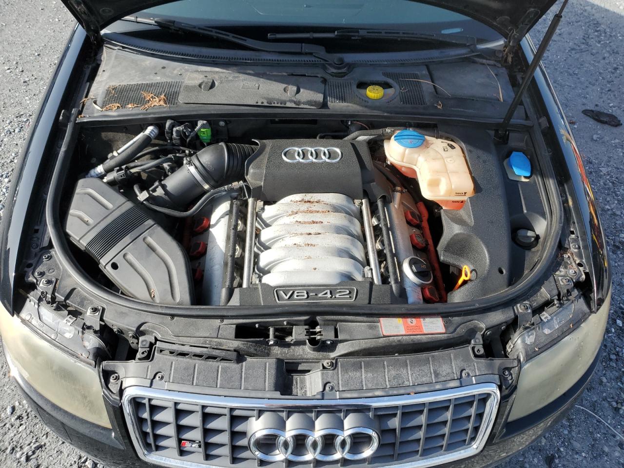 2005 Audi S4 Quattro Cabriolet VIN: WUARL48H15K902235 Lot: 60809035