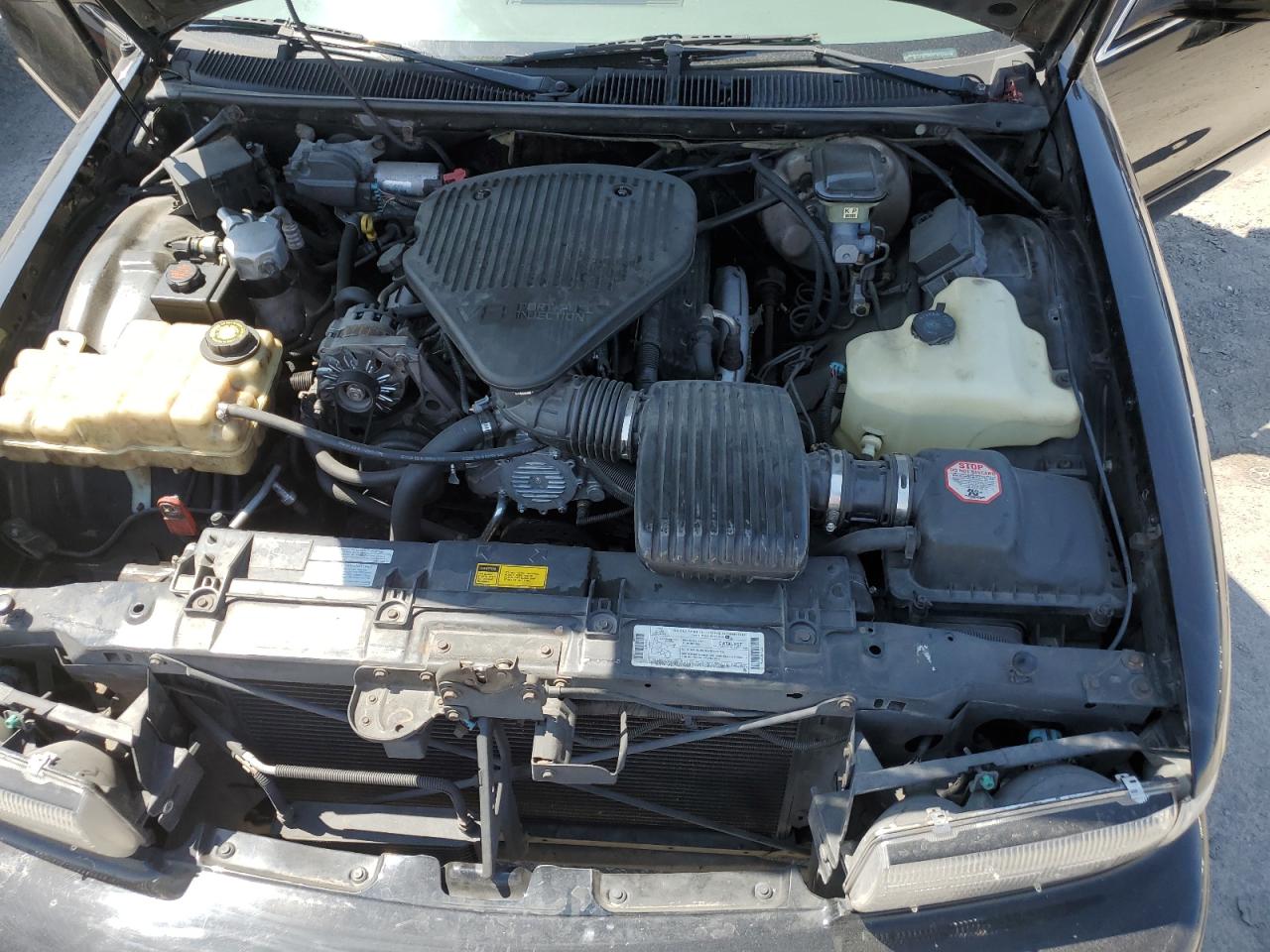 1996 Chevrolet Caprice / Impala Classic Ss VIN: 1G1BL52P7TR106459 Lot: 62546605