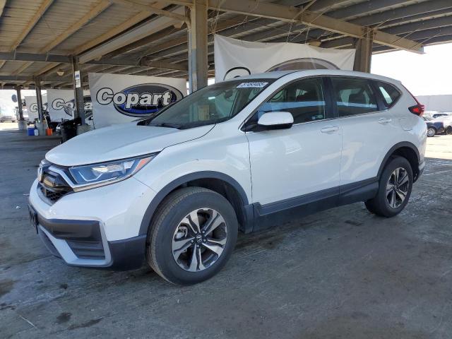 HONDA CR-V SE 2021