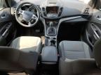 2014 Ford Escape Se for Sale in Windsor, NJ - Side