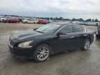 2010 Nissan Maxima S for Sale in Sikeston, MO - Front End