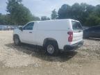 2023 Chevrolet Silverado C1500 na sprzedaż w Greenwell Springs, LA - Minor Dent/Scratches